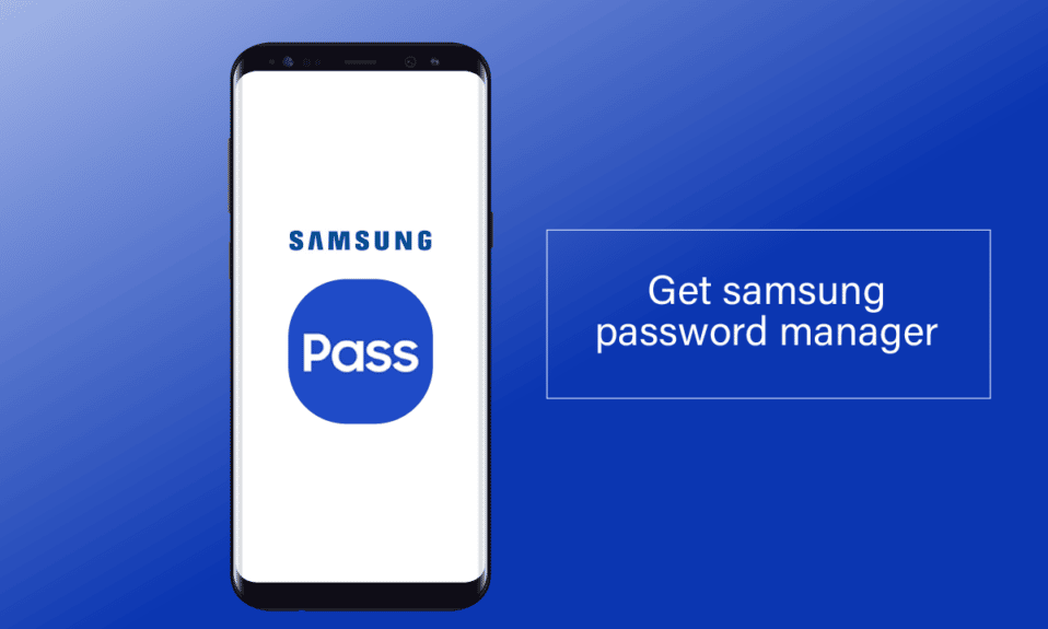 How to Get Samsung Password Manager