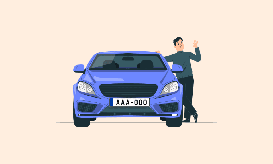How to Look Up License Plate Number Owner