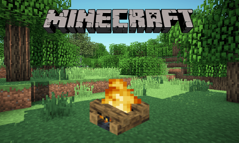 How to Put Out a Campfire in Minecraft