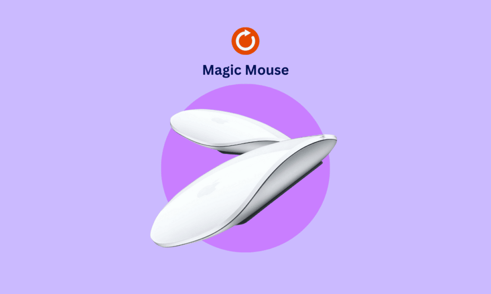 How to Reset Magic Mouse