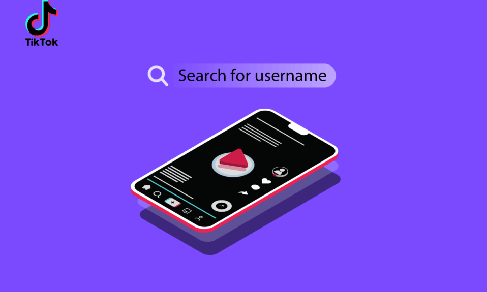 How to Search for Username on TikTok