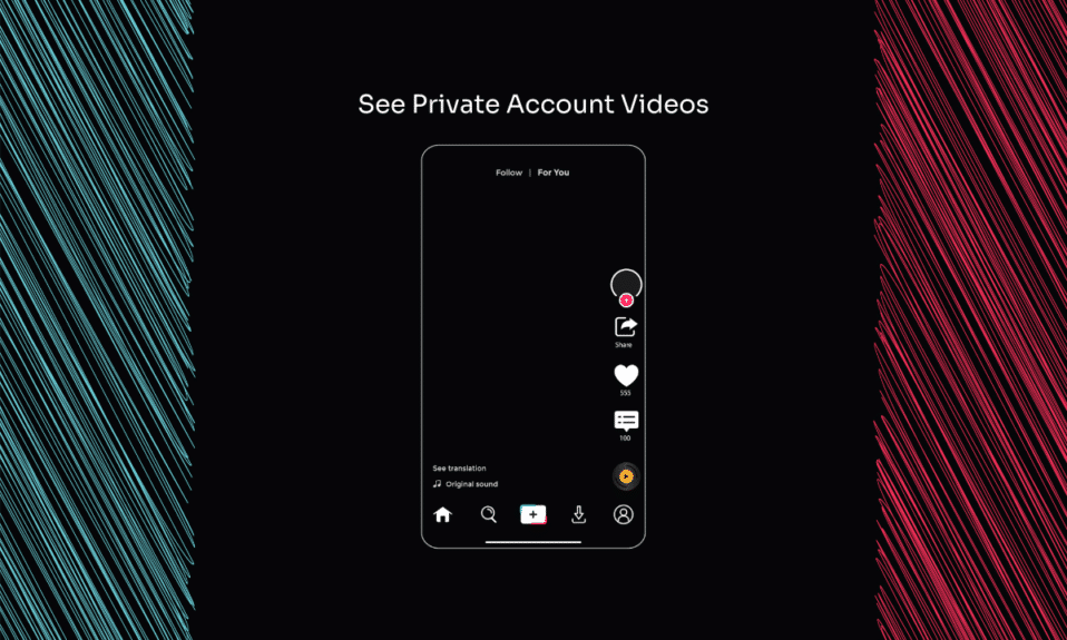 How to See TikTok Private Account Videos Without Following