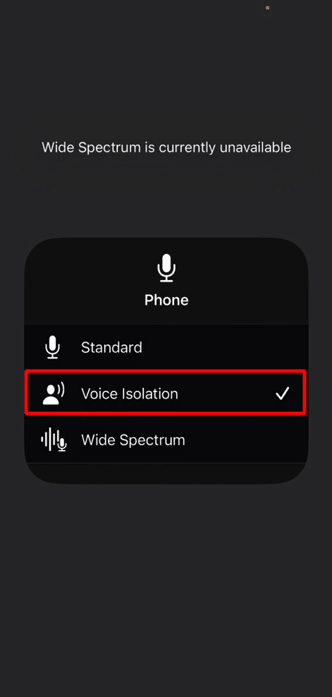 choose voice isolation option. how to enable Voice Isolation on iPhone