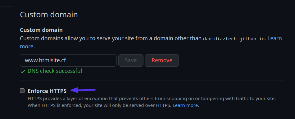 Custom domain section with a “DNS check successful” mark, and the enforce HTTPS button.