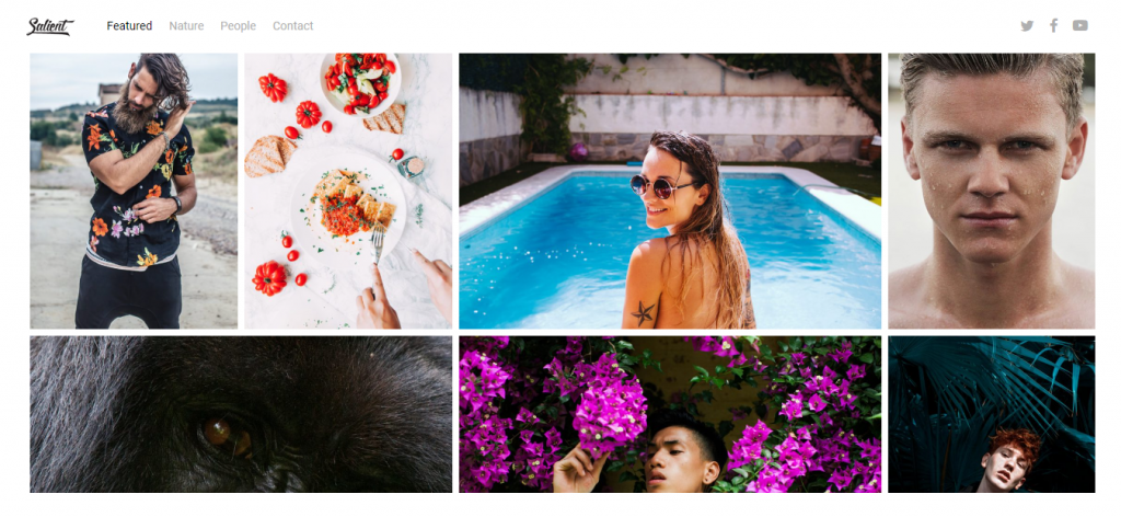 Salient WordPress photography theme