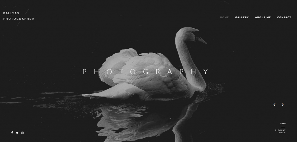 Kallyas WordPress photography theme