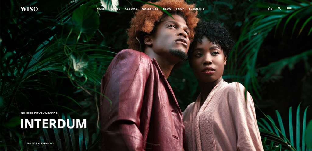 Wiso WordPress photography theme