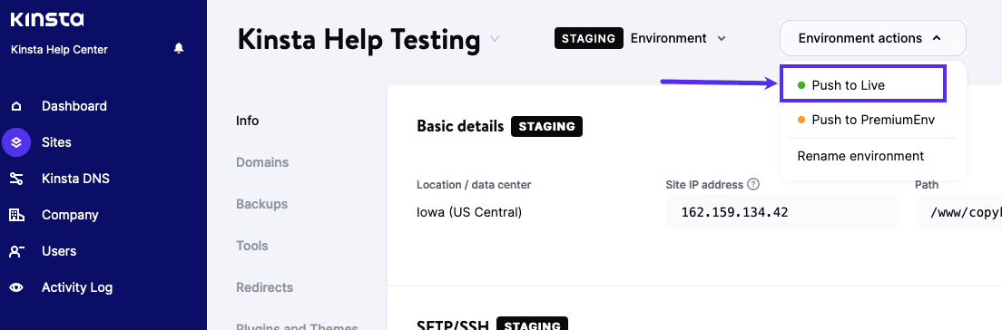 Pushing a site to a live server using Kinsta.