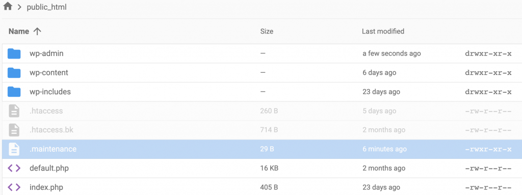 The maintenance file on the File Manager