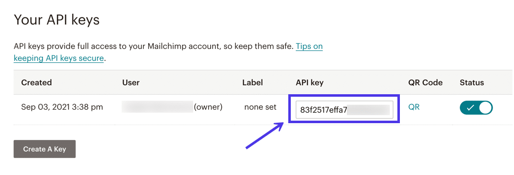 API Key Location A screenshot highlighting the API key.