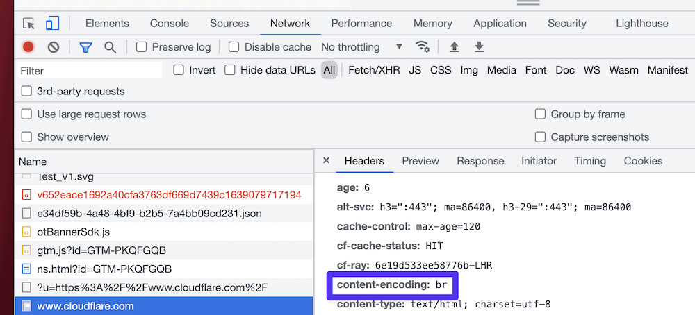The Brave web browser's dev tools that shows a list of assets on the left (with
