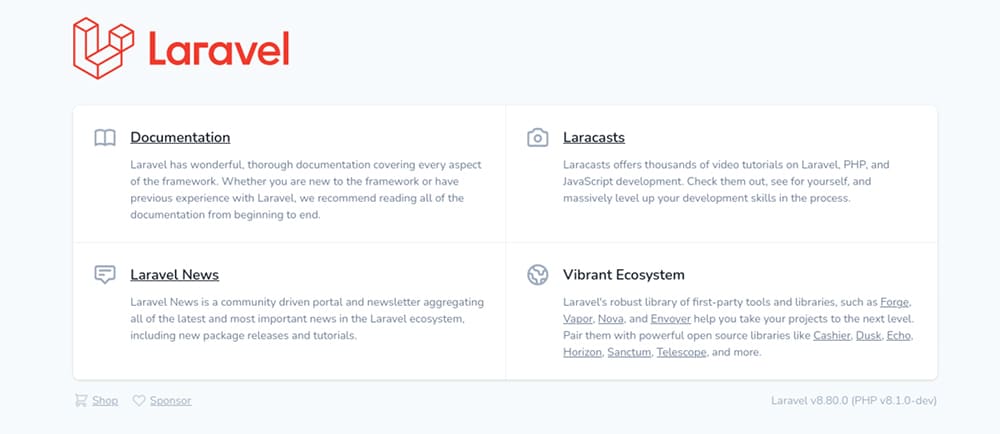 A screenshot of the tested Laravel page.