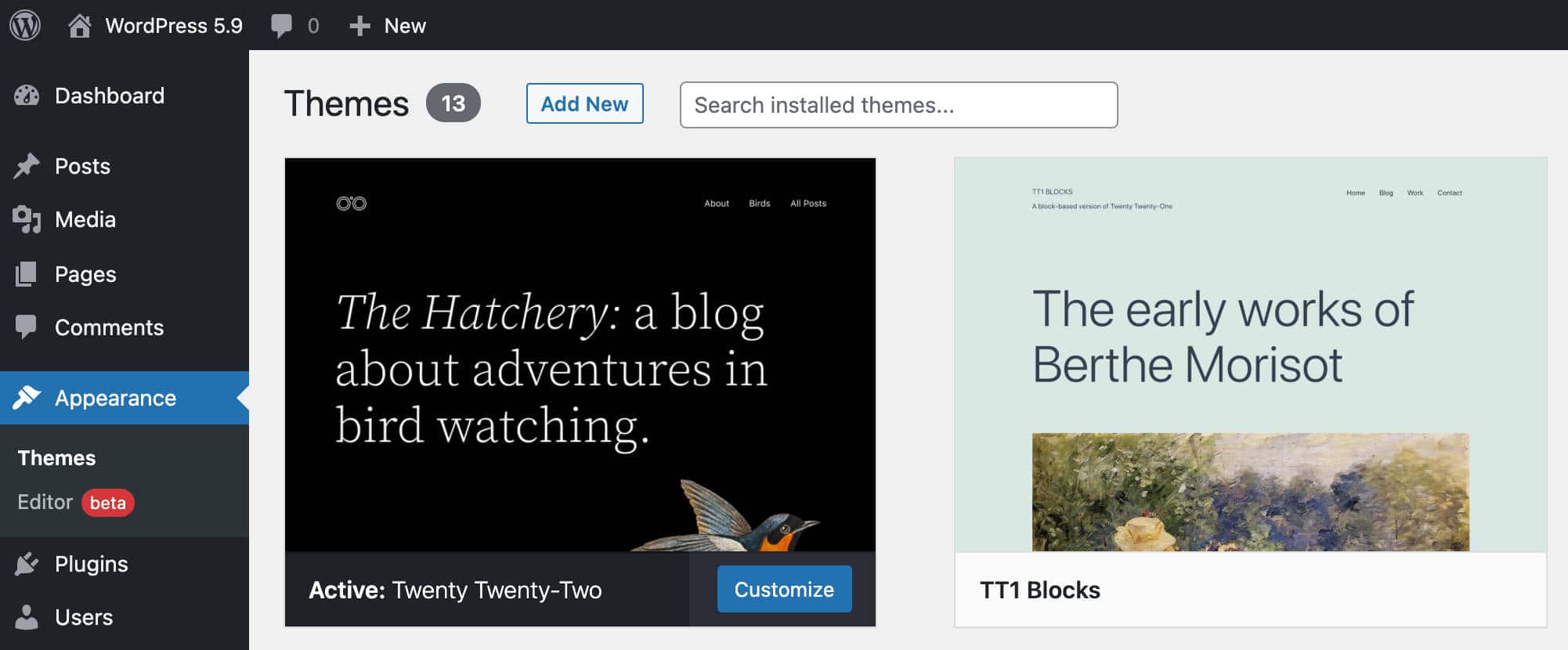 The new Appearance Menu in WordPress 5.9.