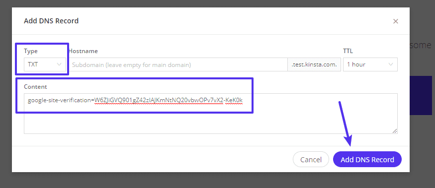 The window for adding a TXT record through MyKinsta with an arrow pointing at the 