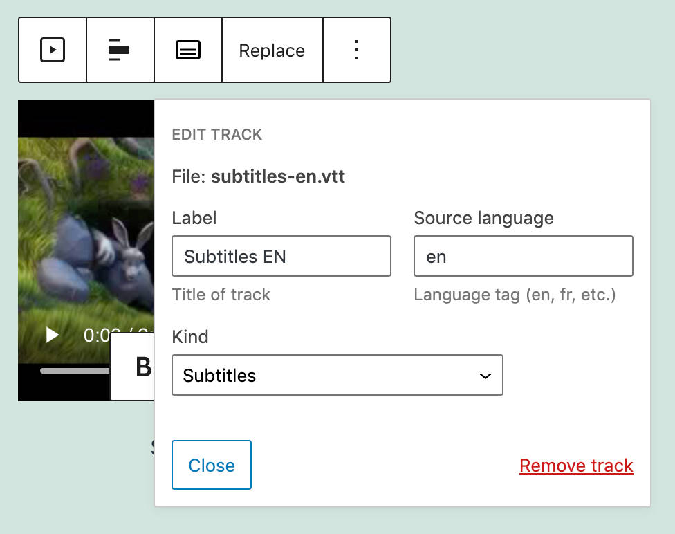 video subtitles