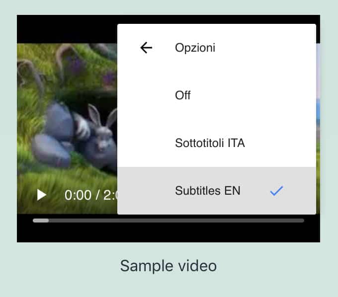 Video subtitles user settings