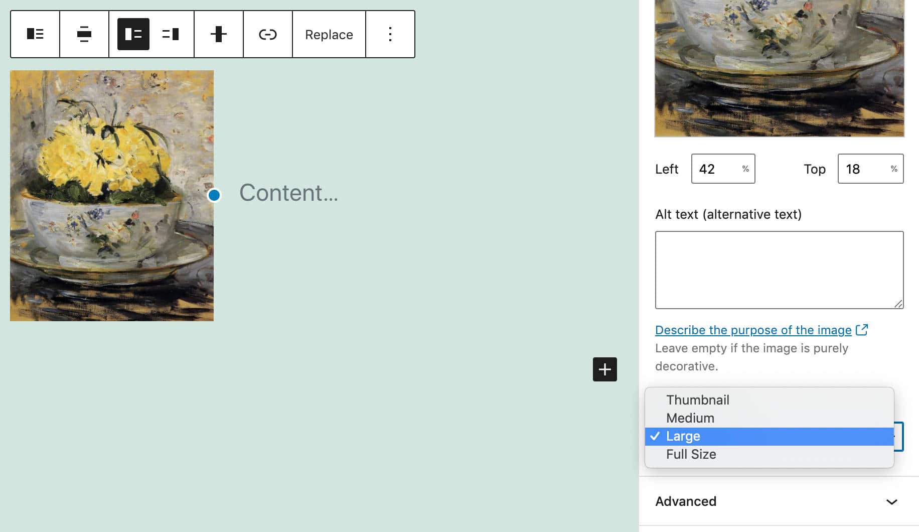 Image Size Control