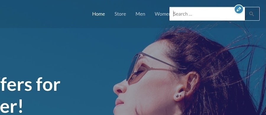 An example of how the basic WordPress search bar looks.