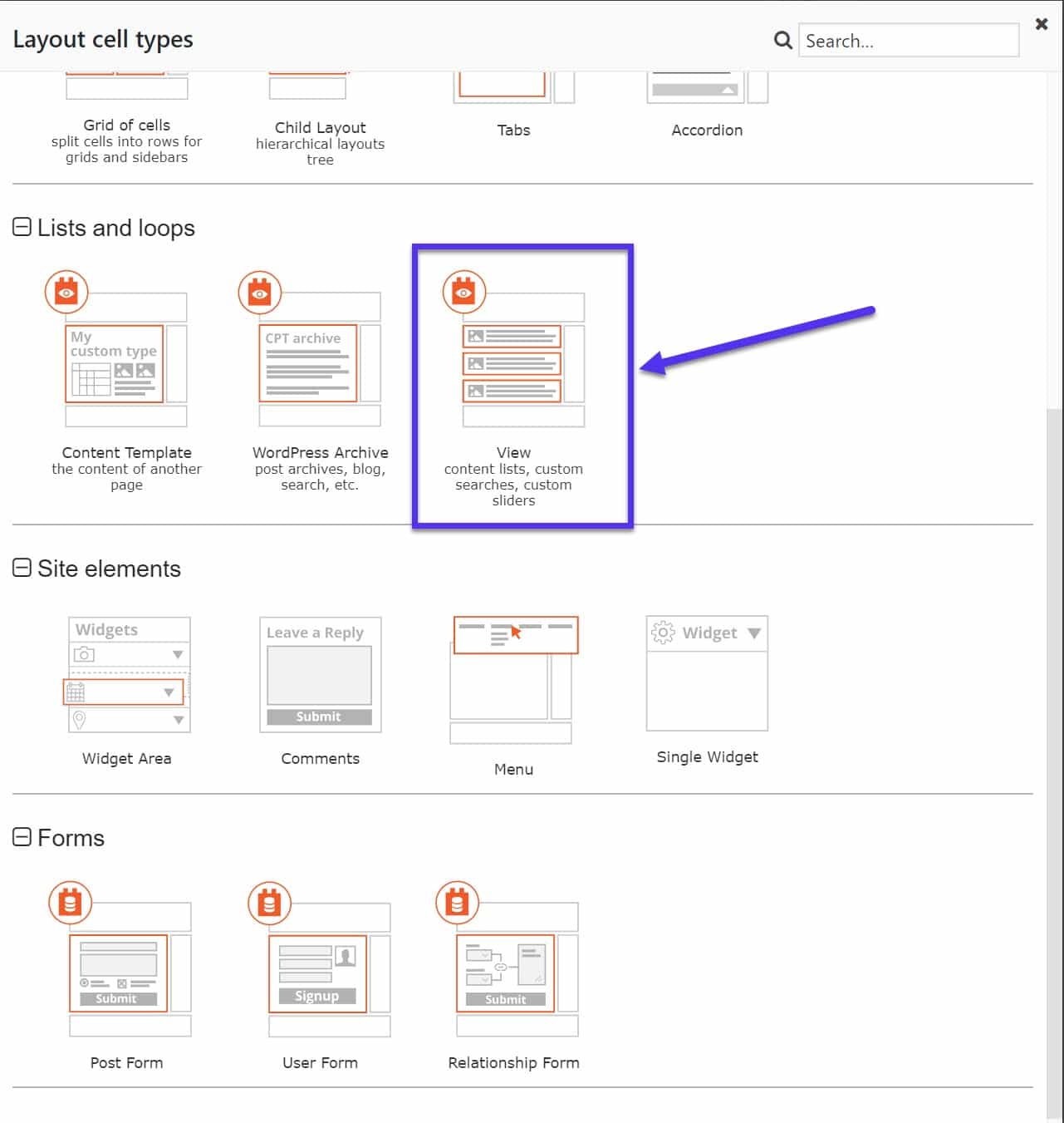 How the custom field is displayed on the frontend