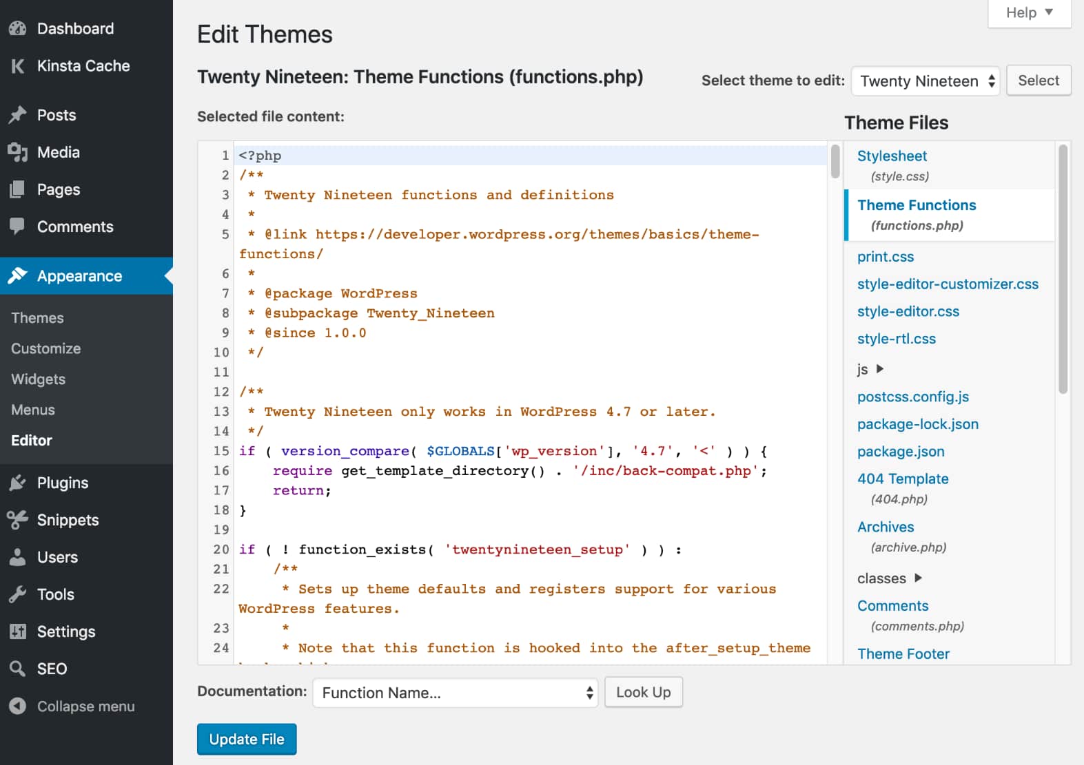 WordPress appearance editor
