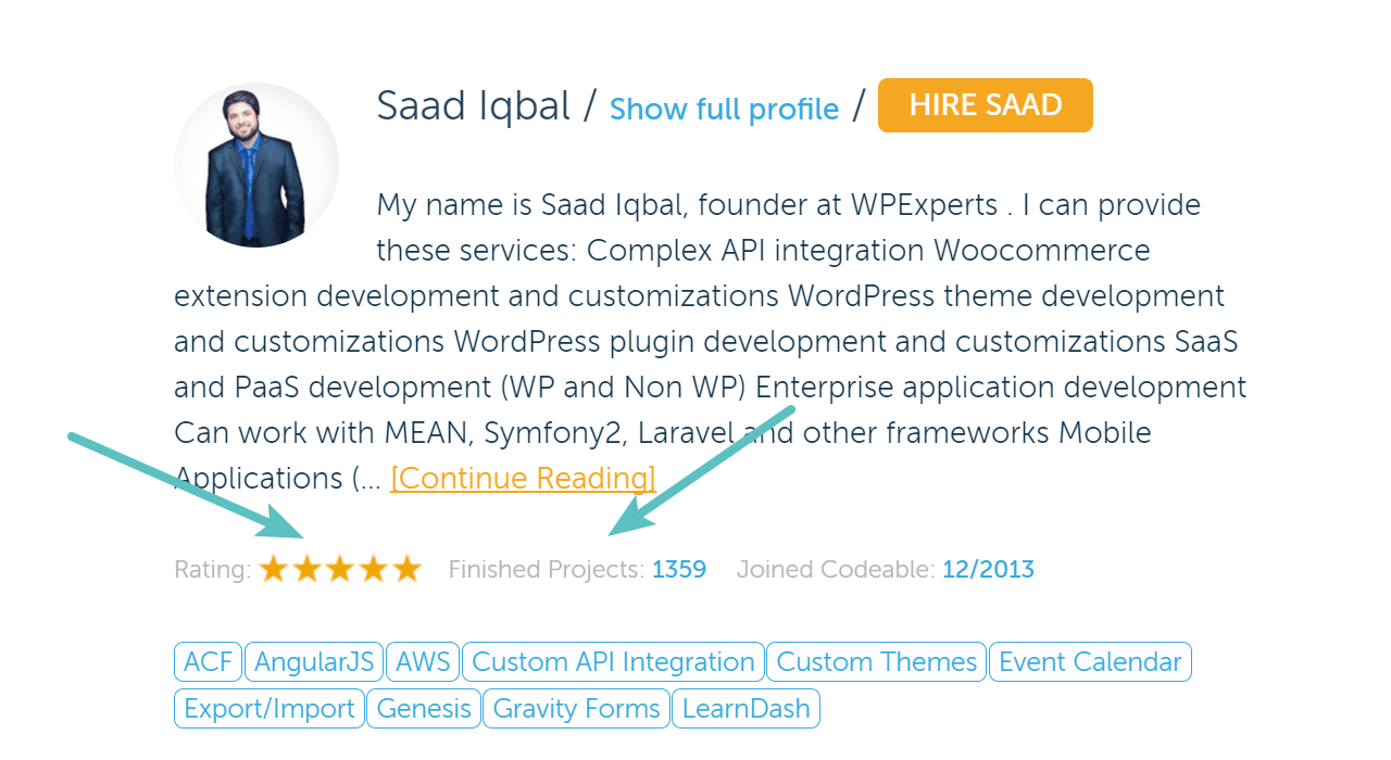check wordpress developer ratings