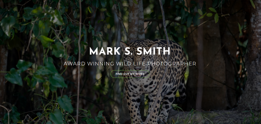 OceanWP WordPress photography theme