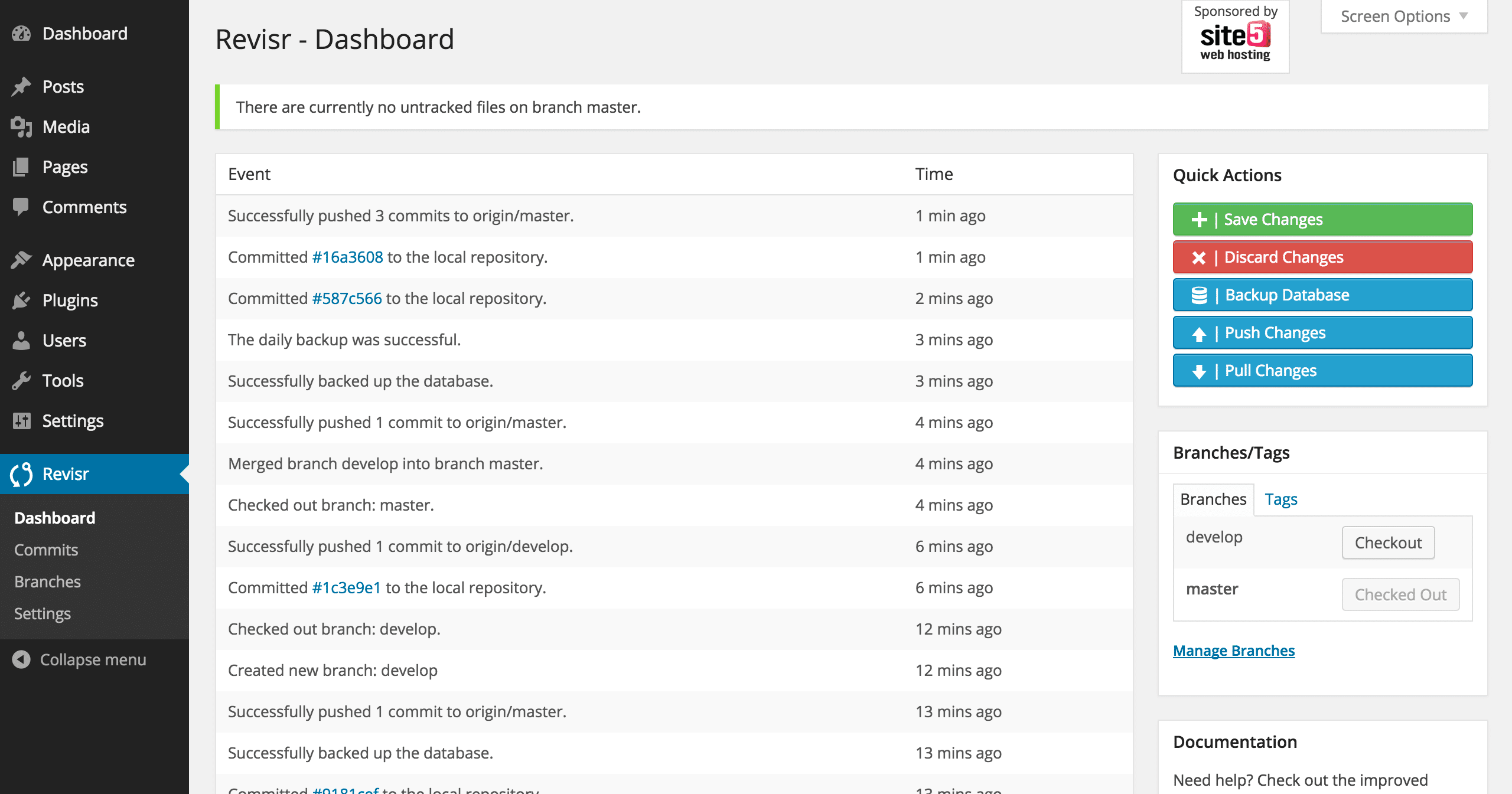 The Revisr plugin interface