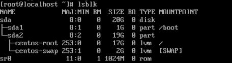 Check Swap Partition Type