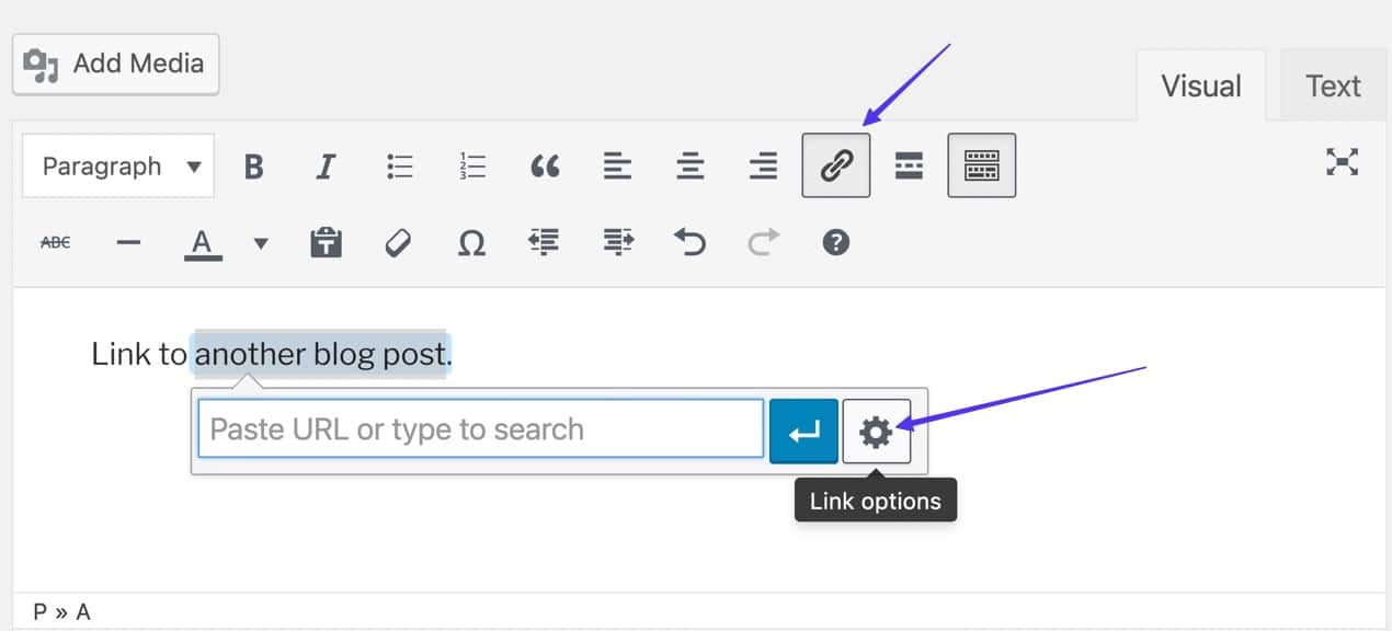 highlighted text and clicking the Link Options tab