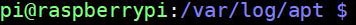 linux prompt path