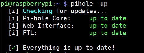 pi-hole update
