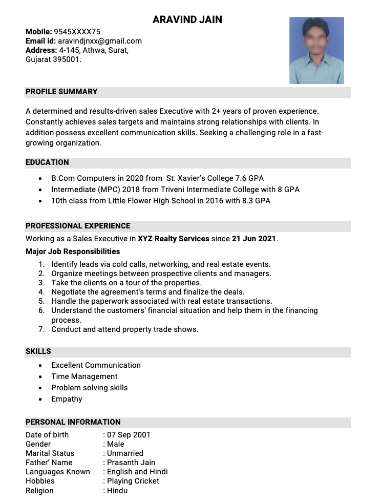 Sales Executive Resume Template
