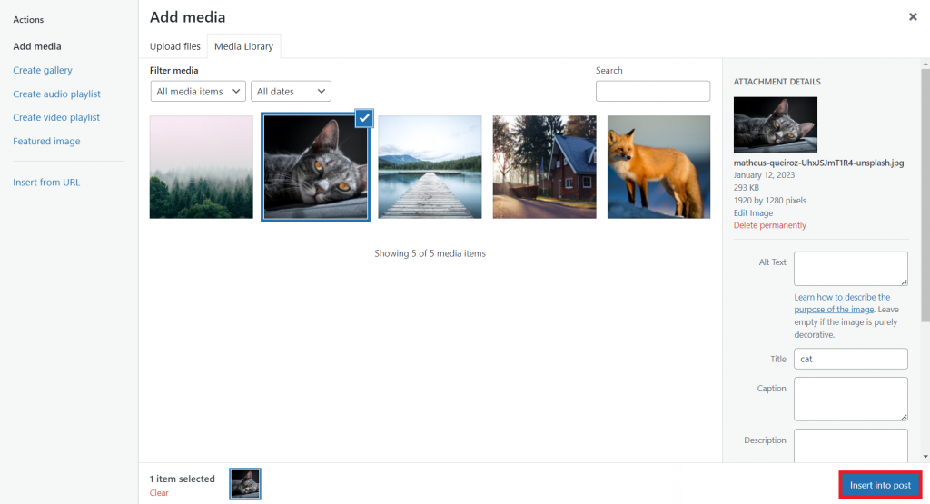 The Add Media window highlighting the Insert into post button