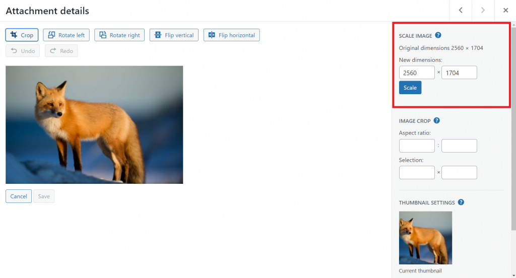 The Attachment details window highlighting the Scale Image section