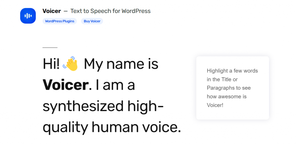 Voicer's landing page