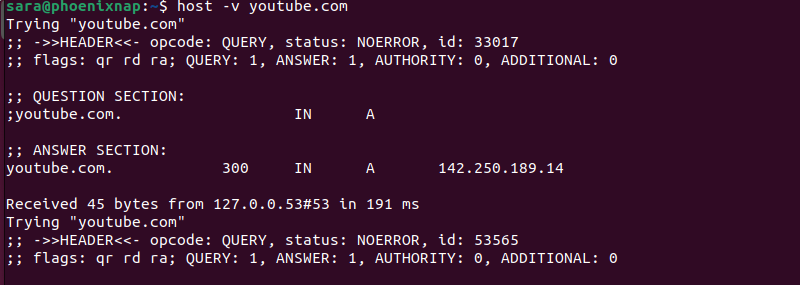 host -v terminal output