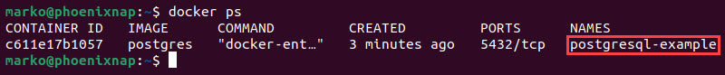 Listing running Docker containers.