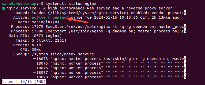 systemctl status nginx terminal output