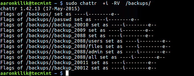 Make Directory Undeletable in Linux