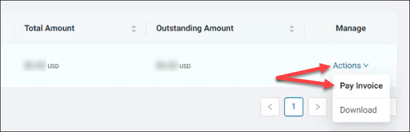 Location of the Pay Invoice link in the Actions menu.