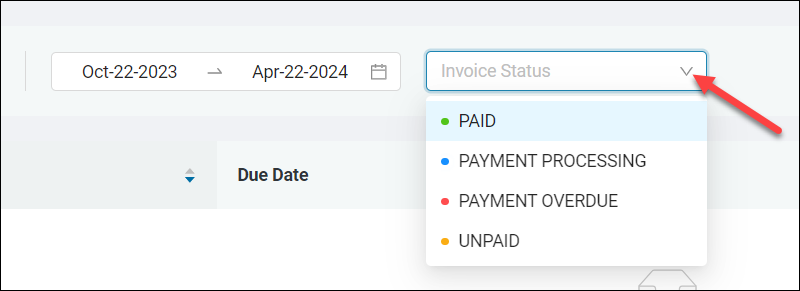 Accessing Invoice type options in the Filter menu.